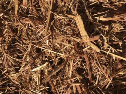 Cedar Mulch 