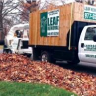 Curbside Leaf Pick-up