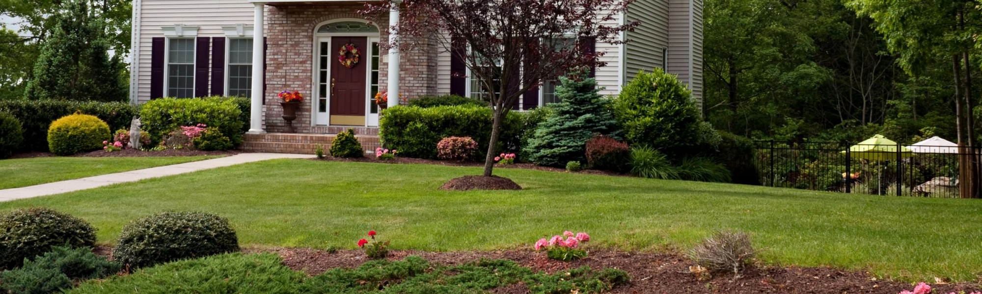 Beautifully landscaped lawn