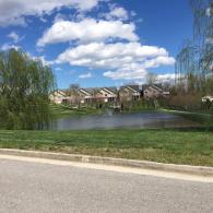 Commercial Landscaping