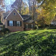 Leaf Removal After