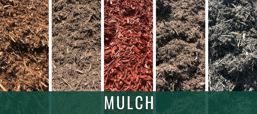 Golden brown mulch 