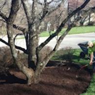 Mulch Laying