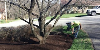 An even layer of mulch provides a consistent cover against weeds and gives just the right amount of moisture absorption.