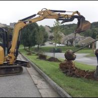 Removing Tree