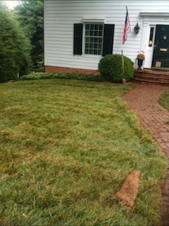 Beautifully lain sod transforms a residential property into a lush, gorgeous oasis.
