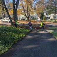 Team Blowing Leaves